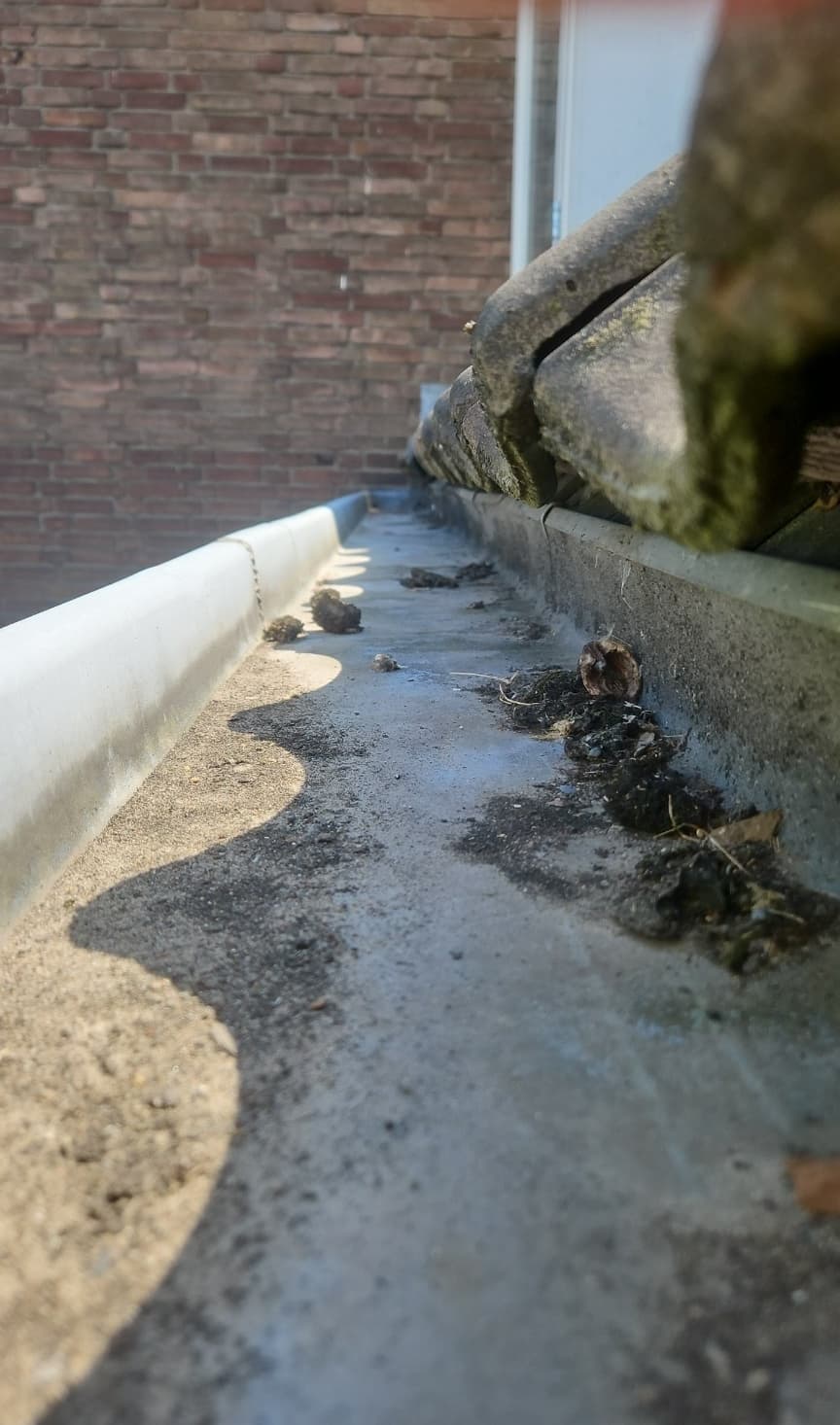 Dakgoot langs een pannendak: voor